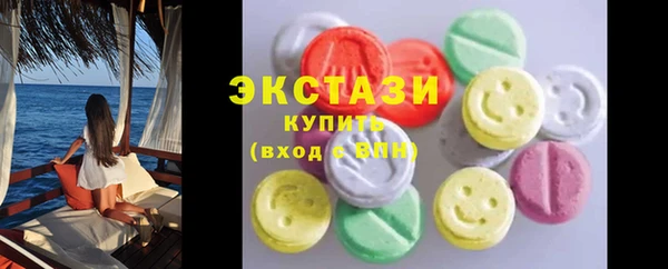 индика Краснослободск