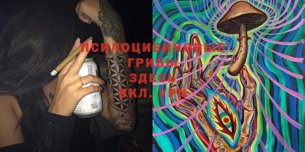 apvp Алексеевка