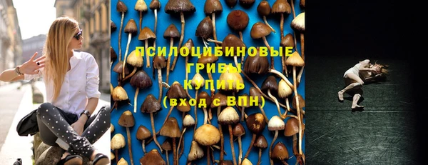 синтетический гашиш Алексин