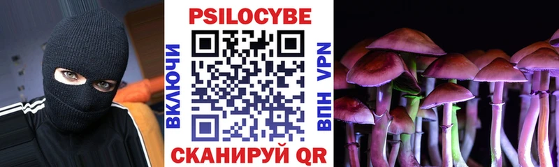 мориарти официальный сайт  Гвардейск  Галлюциногенные грибы мицелий  где купить наркотик 